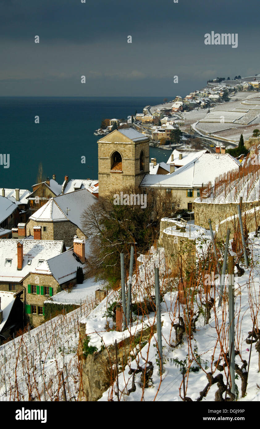 Comune di Saint-Saphorin tra neve-coperta di vigneti e sul Lago di Ginevra, Lac Leman, nel patrimonio mondiale dell UNESCO Regione Foto Stock
