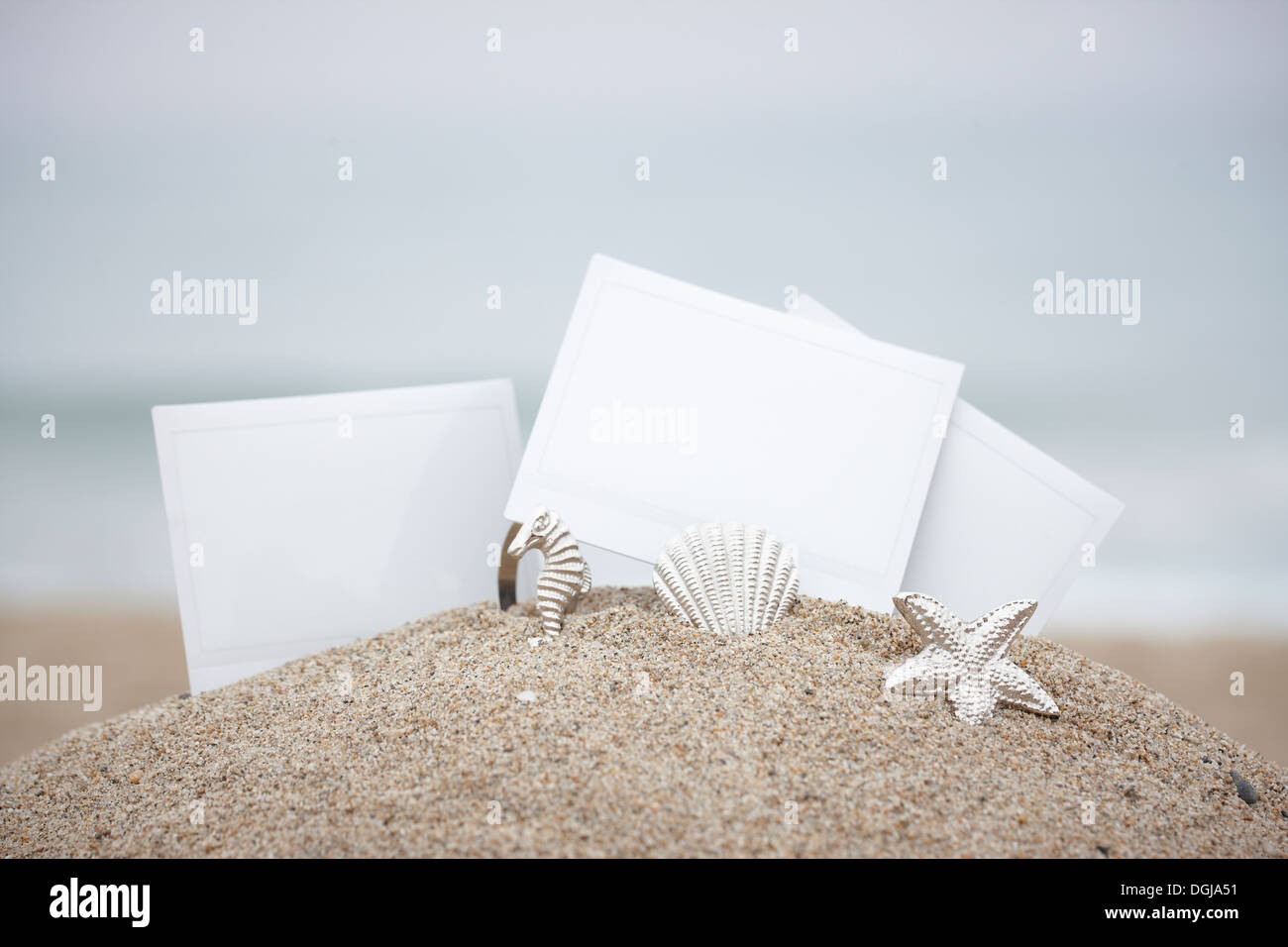 Numerosi white paper sulla spiaggia Foto Stock