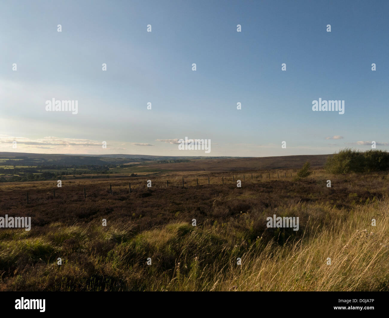 Paesaggio di rotolamento su Flyingdales Moor, North York Moors National Park, il Yorkshire, Inghilterra Foto Stock