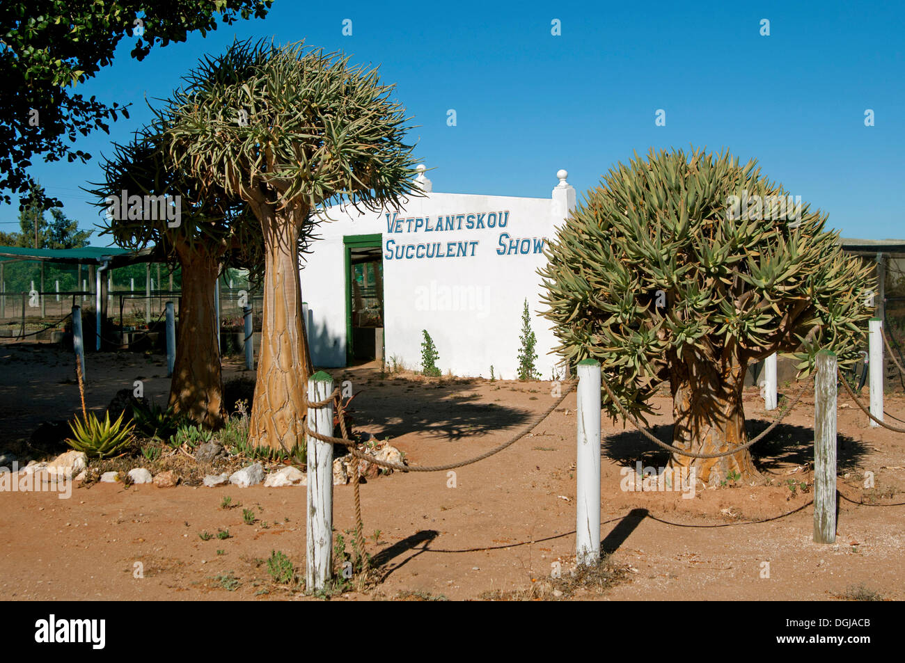 Ingresso alla mostra di piante succulente nella più grande del mondo di vivaio succulente 'Kocurboom', Vanrhynsdorp, Vanrhynsdorp Foto Stock Ingresso alla mostra di piante succulente nella più grande del mondo di vivaio succulente 'Kocurboom', Vanrhynsdorp, Vanrhynsdorp Foto Stock