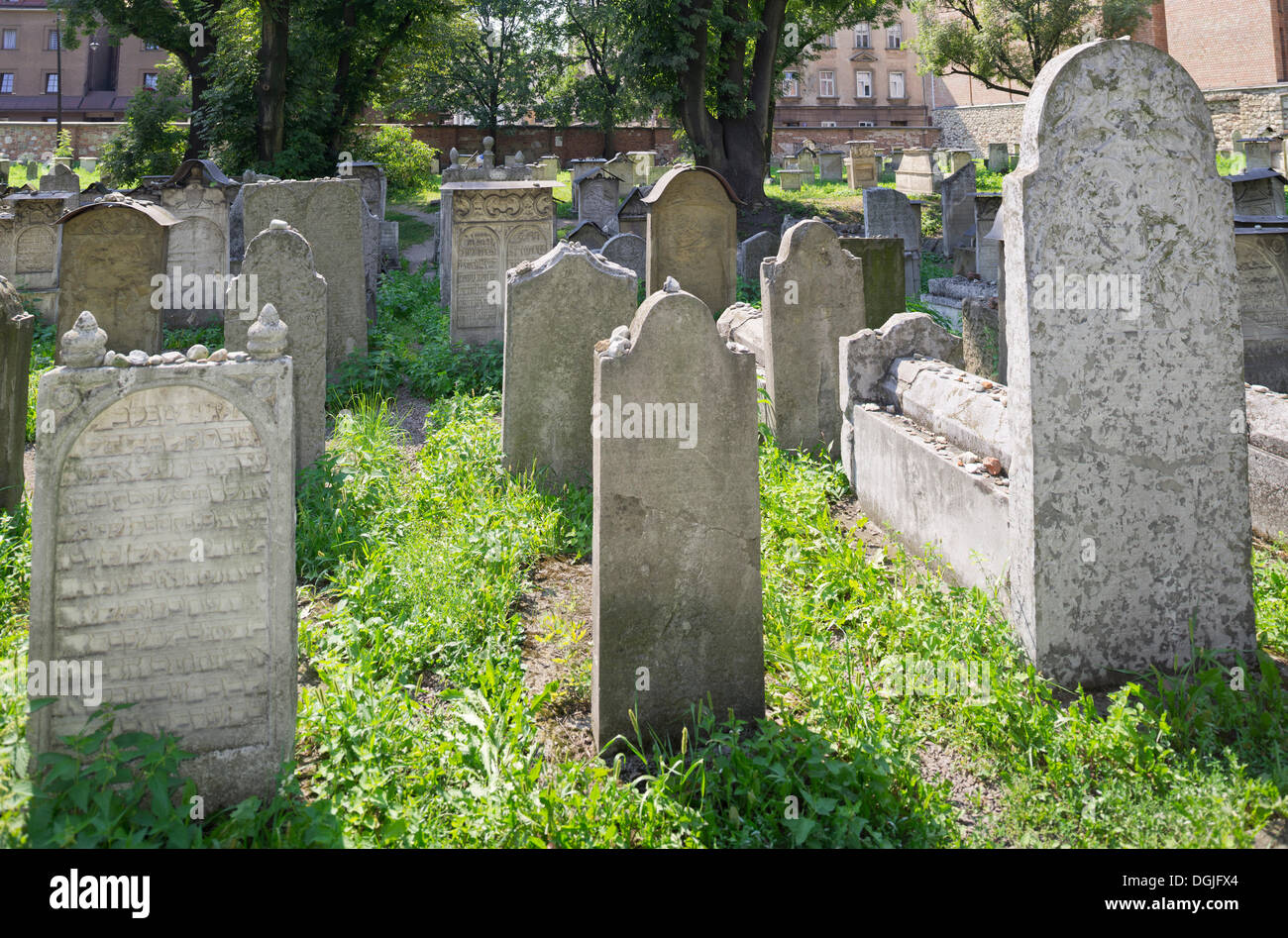 Cimitero ebraico della Sinagoga Remuh, krakau, woiwodschaft kleinpolen, Polonia Foto Stock