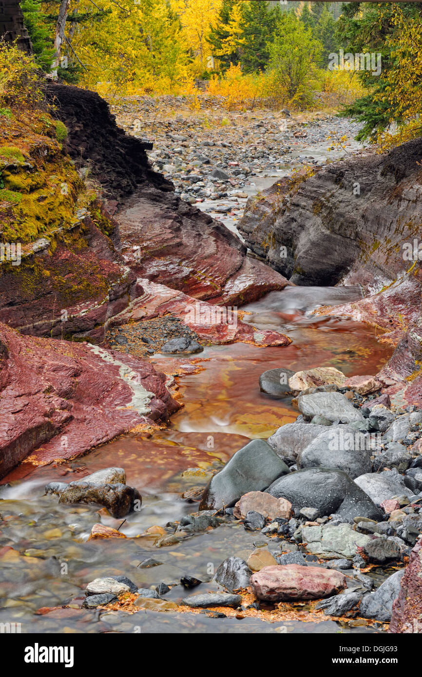 Argillite sedimentaria strati minerali in Lost Horse Creek Parco Nazionale dei laghi di Waterton Alberta Canada Foto Stock