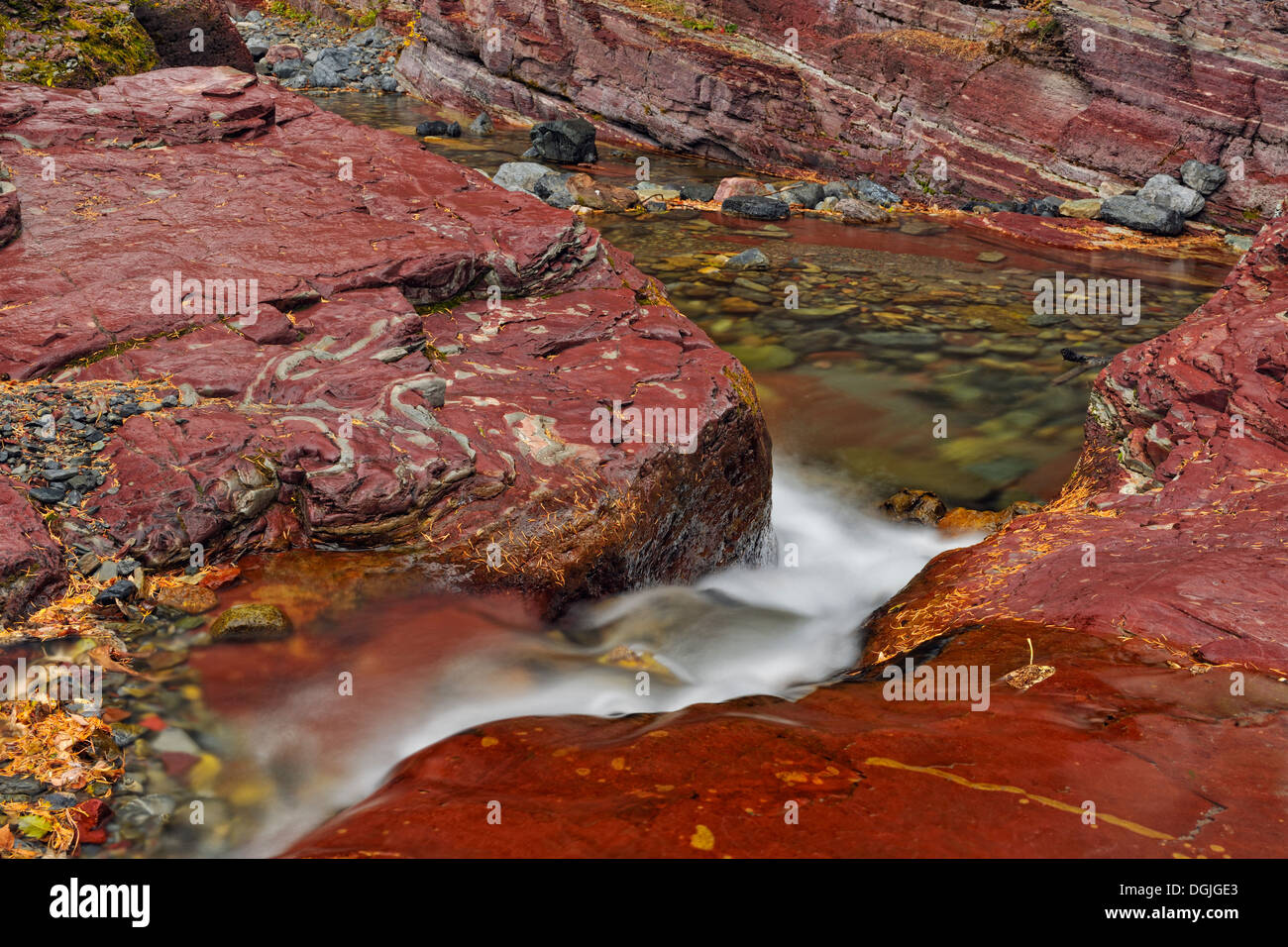 Argillite sedimentaria strati minerali in Lost Horse Creek Parco Nazionale dei laghi di Waterton Alberta Canada Foto Stock