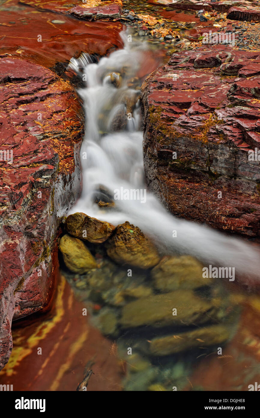 Argillite sedimentaria strati minerali in Lost Horse Creek Parco Nazionale dei laghi di Waterton Alberta Canada Foto Stock