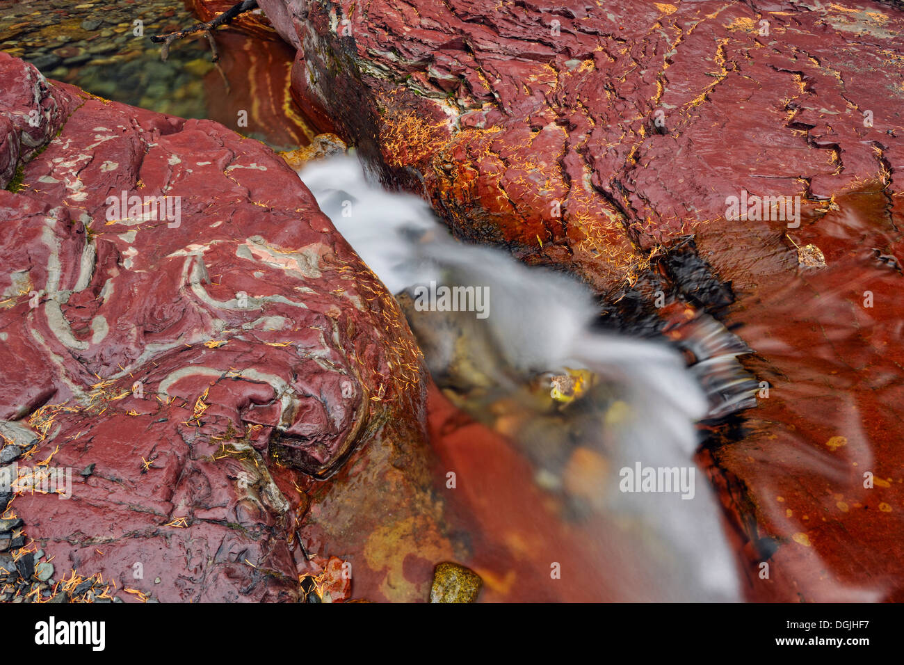 Argillite sedimentaria strati minerali in Lost Horse Creek Parco Nazionale dei laghi di Waterton Alberta Canada Foto Stock