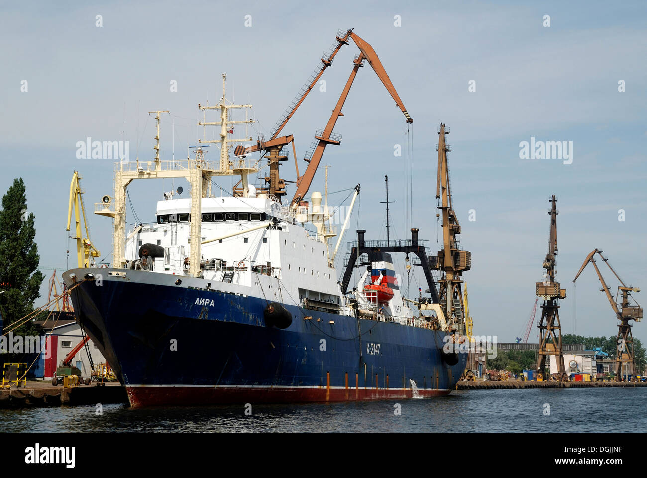 Porto di Danzica. Foto Stock