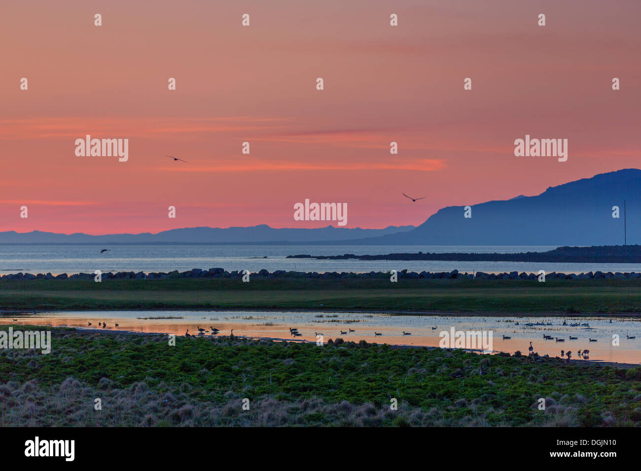 Il paesaggio è sotto il sole di mezzanotte, Seltjarnarnes, Reykjavik, Islanda Foto Stock