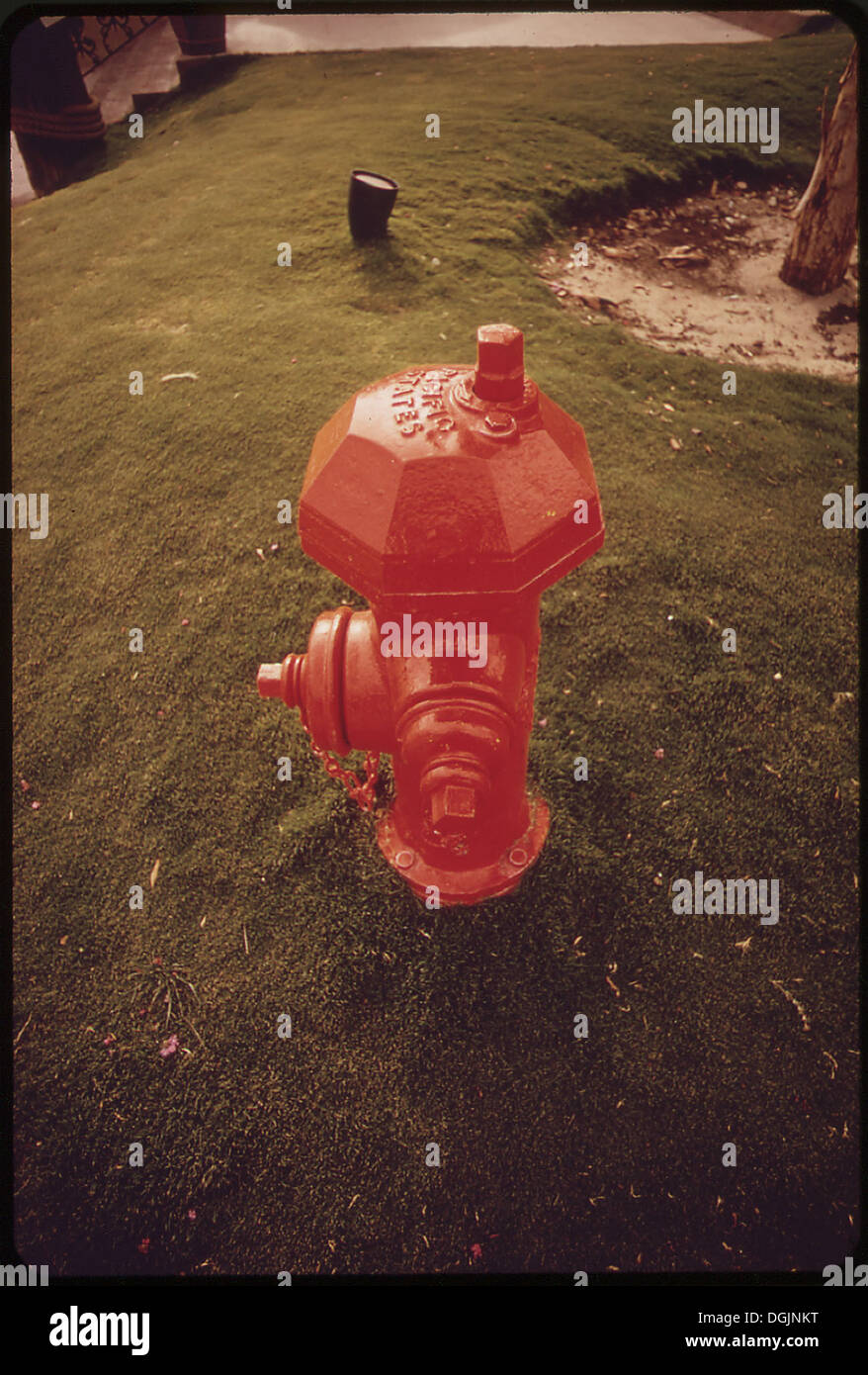 Nel campo da golf di Lake Havasu City, Arizona, è possibile vedere un idrante dell'acqua. Il campo da golf è una popolare area ricreativa della città. Foto Stock