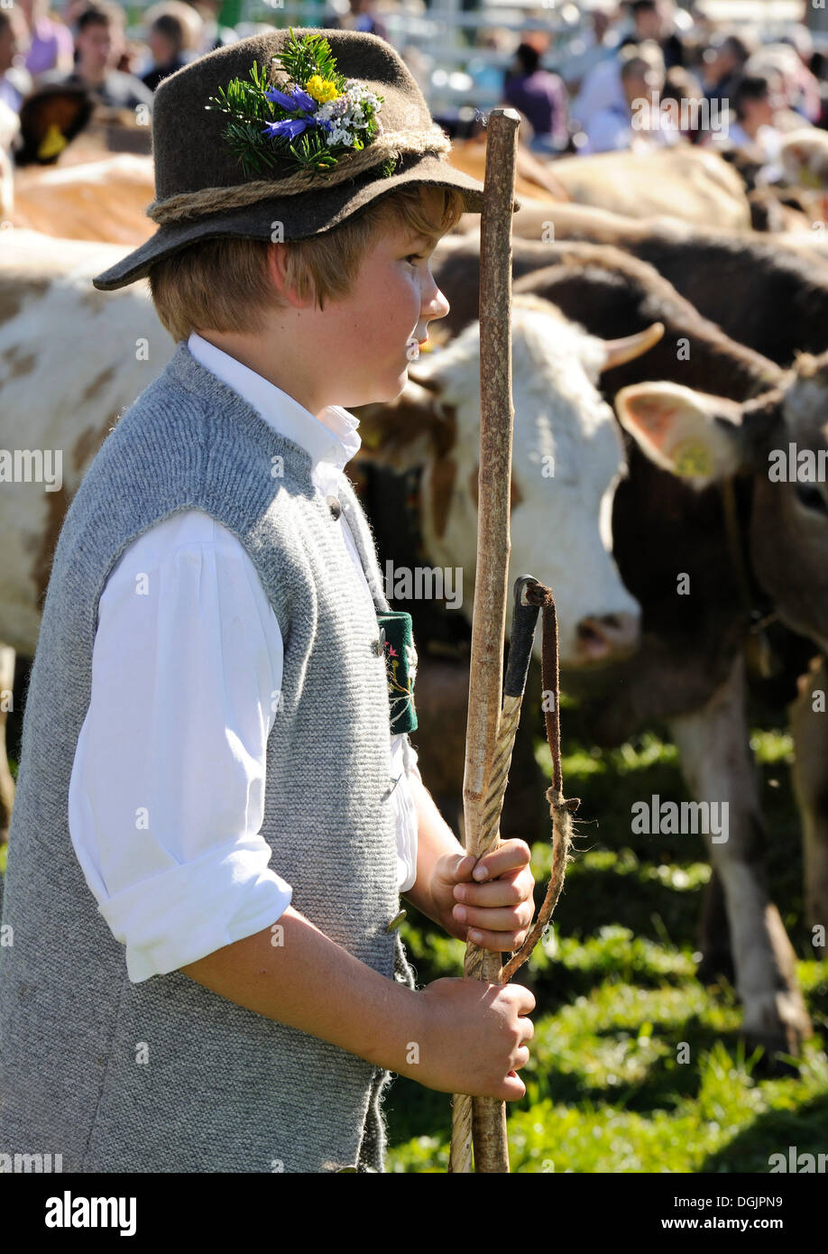 Ragazzo giovane durante il tradizionale cattle drive festival denominato Viehscheid, Pfronten, Ostallgaeu, Allgaeu, Svevia, Bavaria Foto Stock