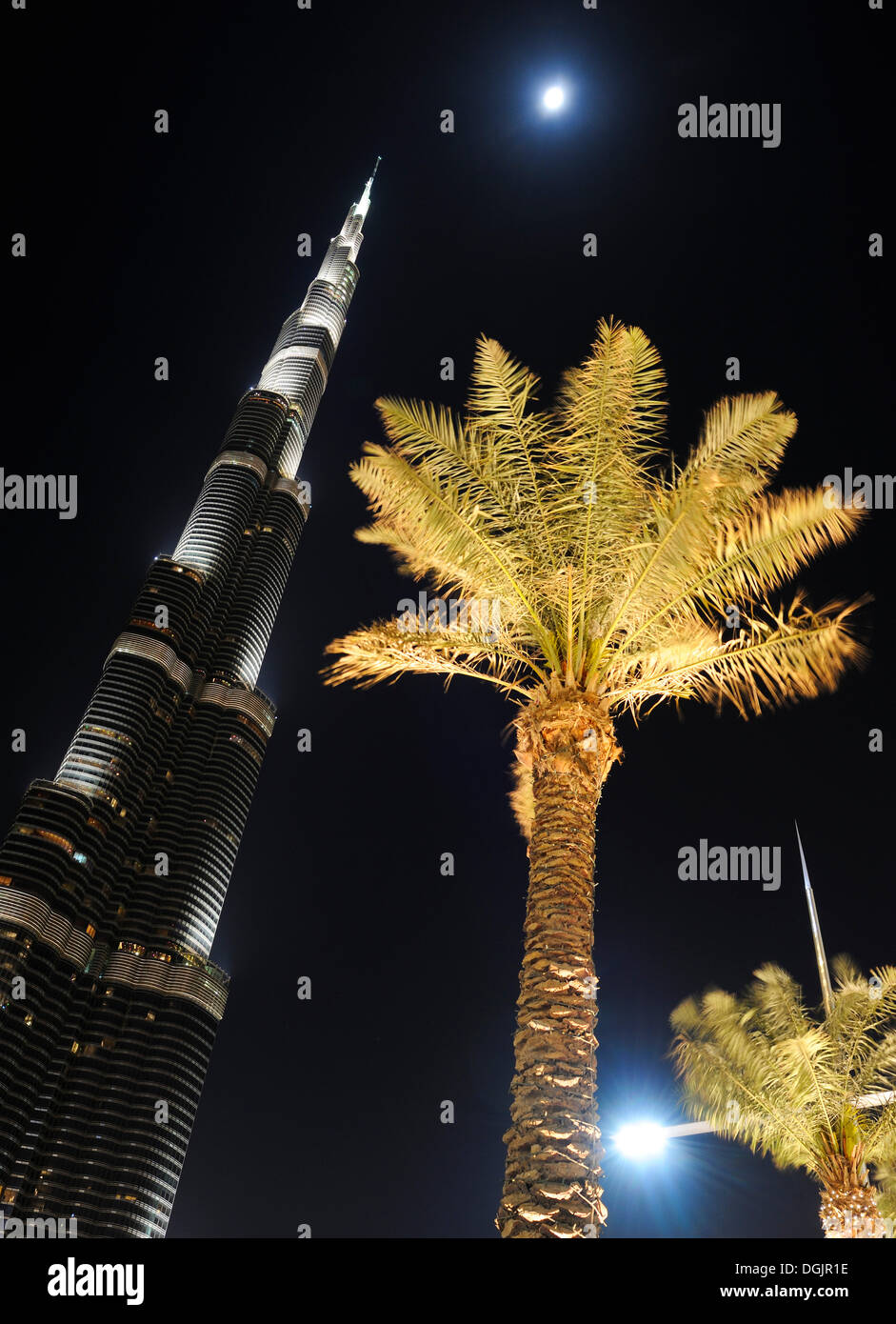 Il Burj Khalifa, con 828m di altezza della torre più alto al mondo e palme di notte, Dubai Business Bay, il centro di Dubai Foto Stock