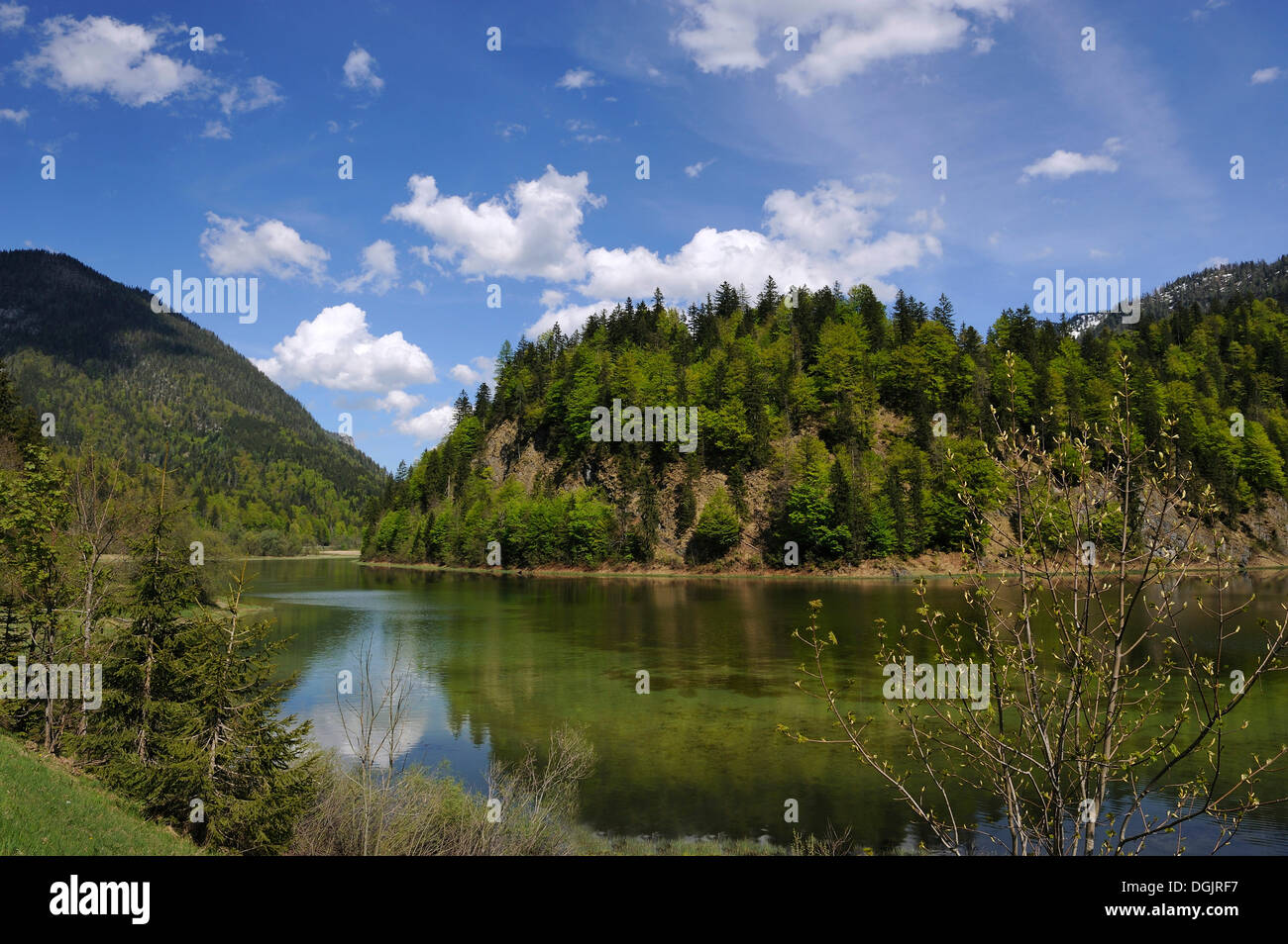 Lago Weitsee a Ruhpolding, regione Chiemgau, Alta Baviera, Baviera, PublicGround Foto Stock