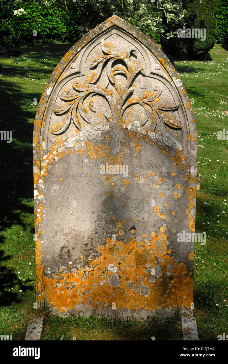 Vecchia tomba di pietra con un rilievo dell'albero della vita, cimitero della Chiesa di San Giovanni Battista, Bere Regis, Dorset Foto Stock