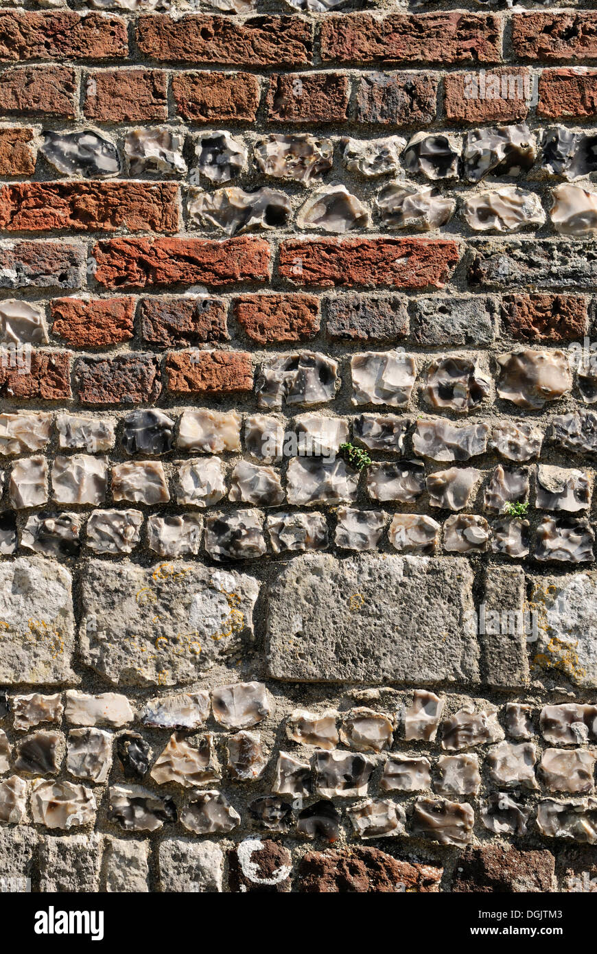 Struttura in muratura con diversi tipi di roccia, Chiesa di San Giovanni Battista, Bere Regis, Dorset, Inghilterra meridionale, England, Regno Unito Foto Stock