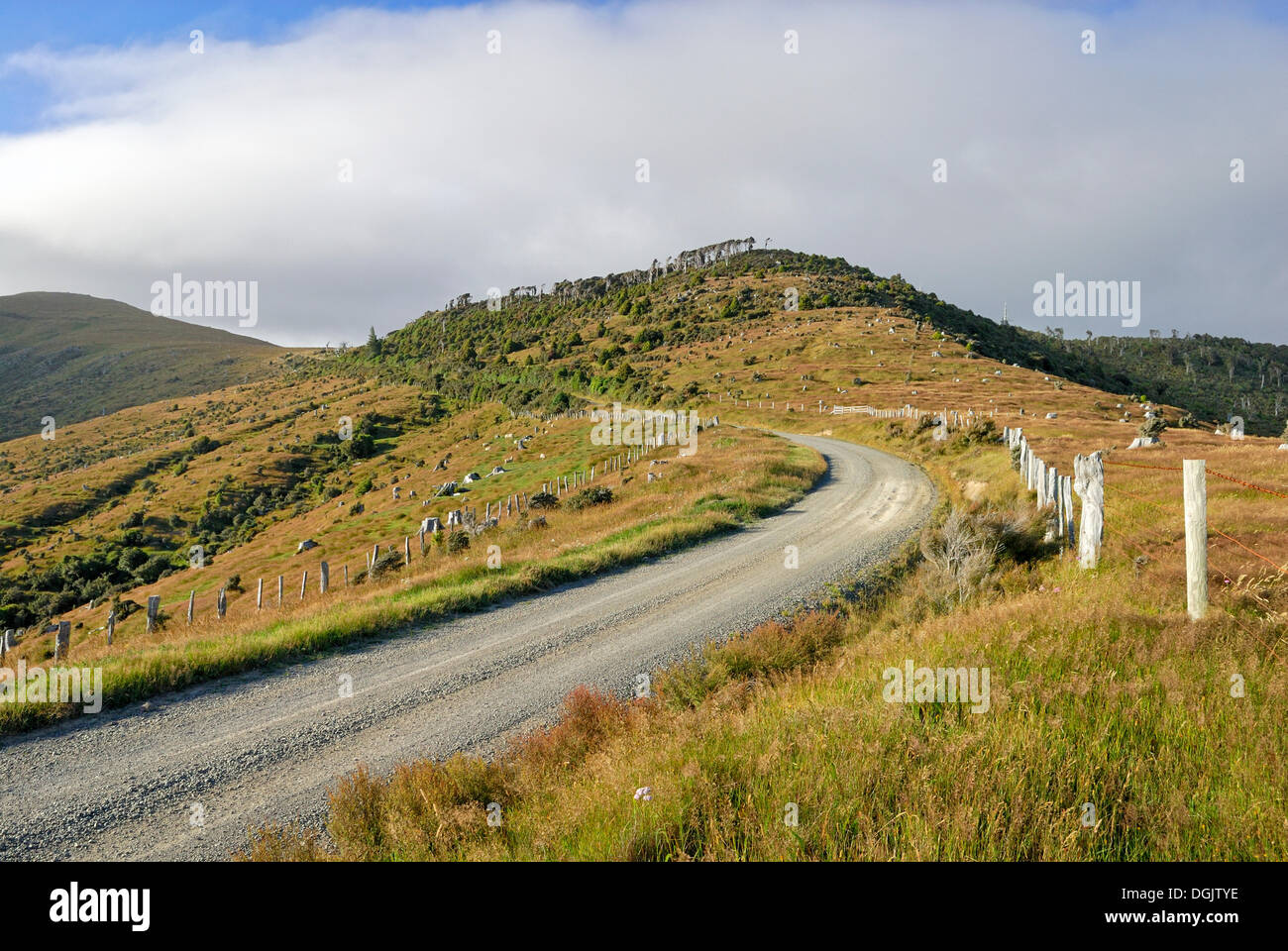 Strada al vertice dal piccolo fiume alla porta Prelievo, Penisola di Banks, Christchurch, Isola del Sud, Nuova Zelanda Foto Stock