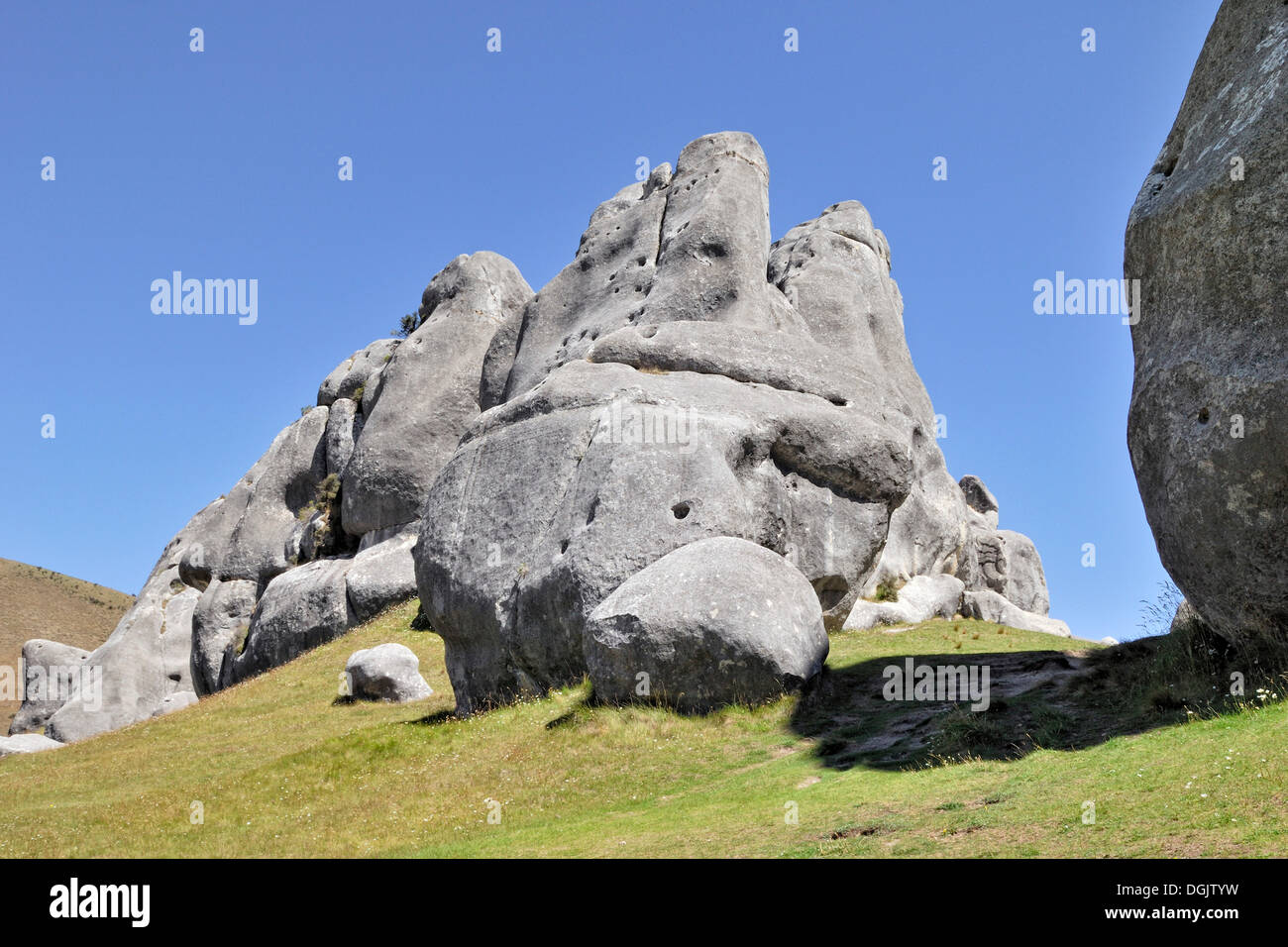 La formazione di calcare in Collina del Castello rocce calcaree, Kura Tawhiti Area di Conservazione, Selwyn distretto, Isola del Sud Foto Stock