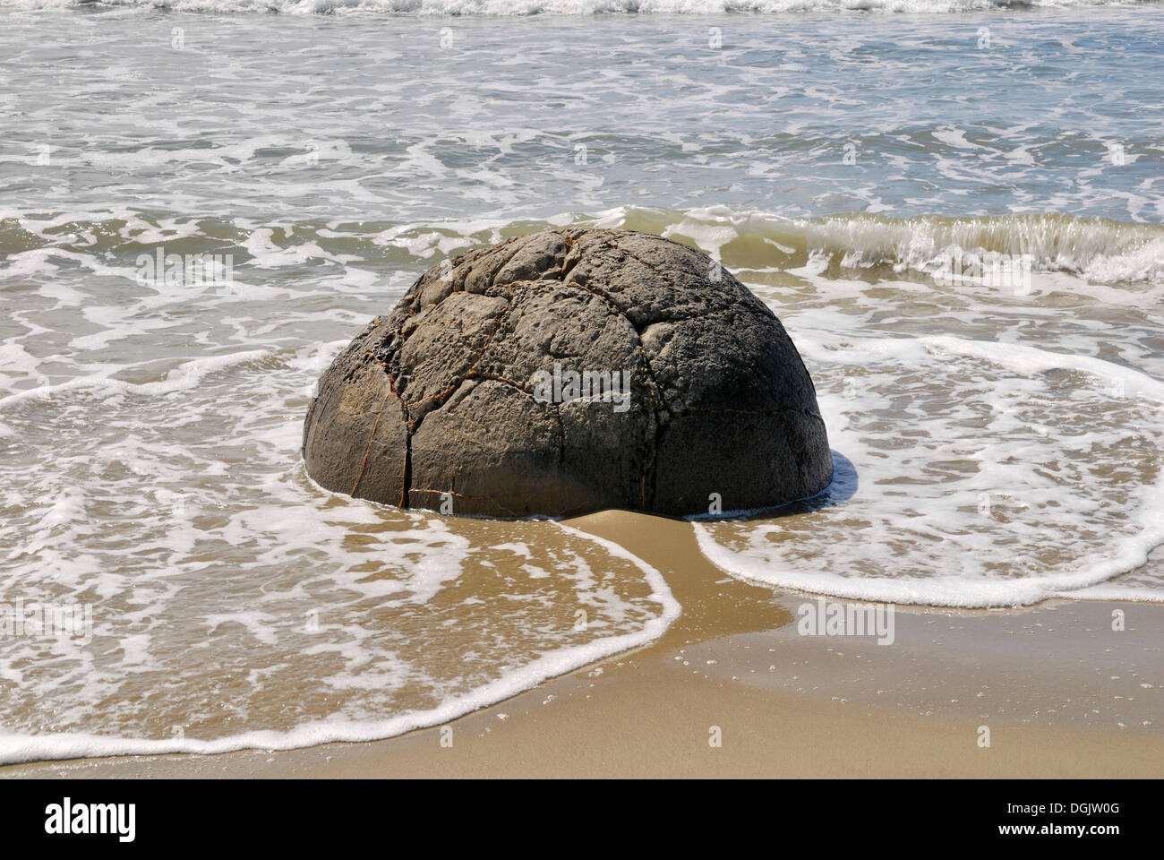 Boulder sulla spiaggia, formazione geologica del Moeraki massi Moeraki, East Coast, Isola del Sud, Nuova Zelanda Foto Stock