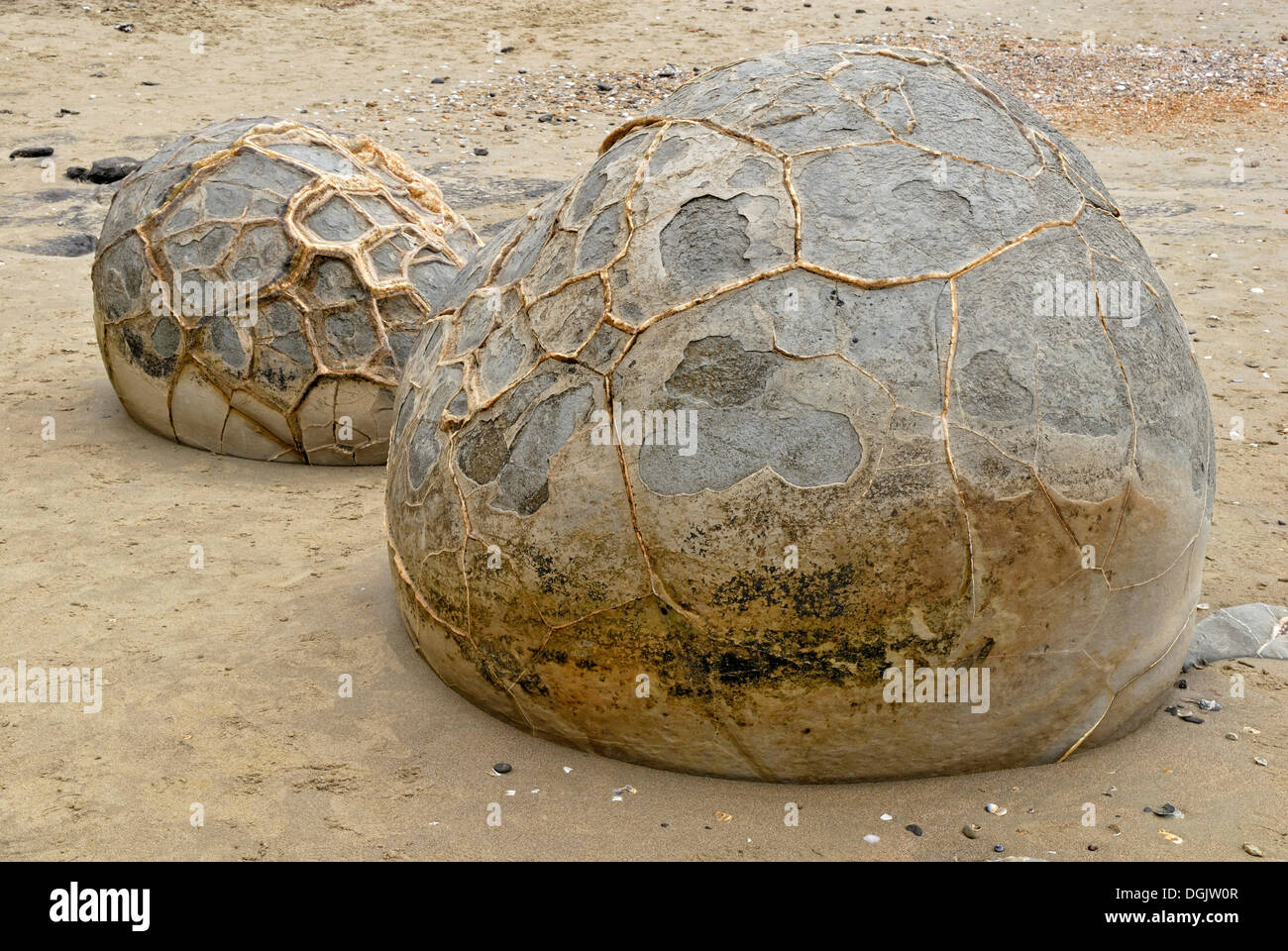 Le sfere di roccia sulla spiaggia con la bassa marea, formazione geologica del Moeraki massi Moeraki, East Coast, Isola del Sud Foto Stock