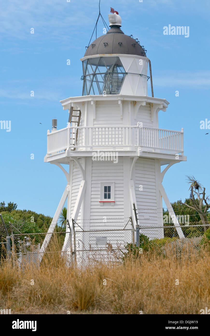Lighthouse vicino a Moeraki, East Coast, Isola del Sud, Nuova Zelanda Foto Stock