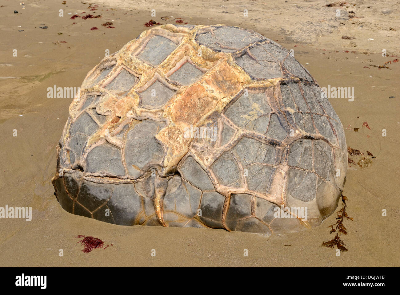 Boulder con una superficie strutturata su di una spiaggia di sabbia, Moeraki Boulders, geologico formazione di roccia, Moeraki, East Coast Foto Stock
