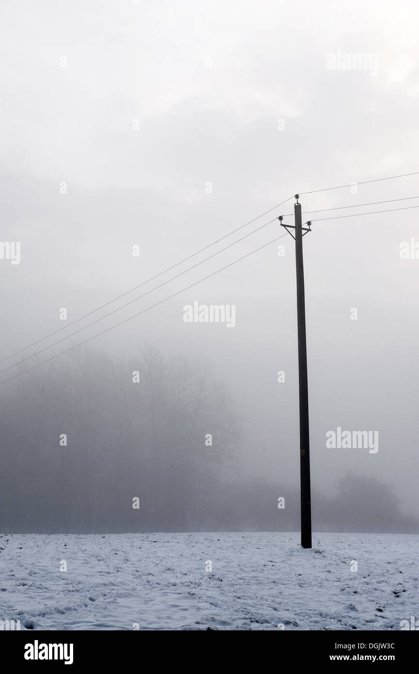 Il congelamento di nebbia in Essex. Foto Stock