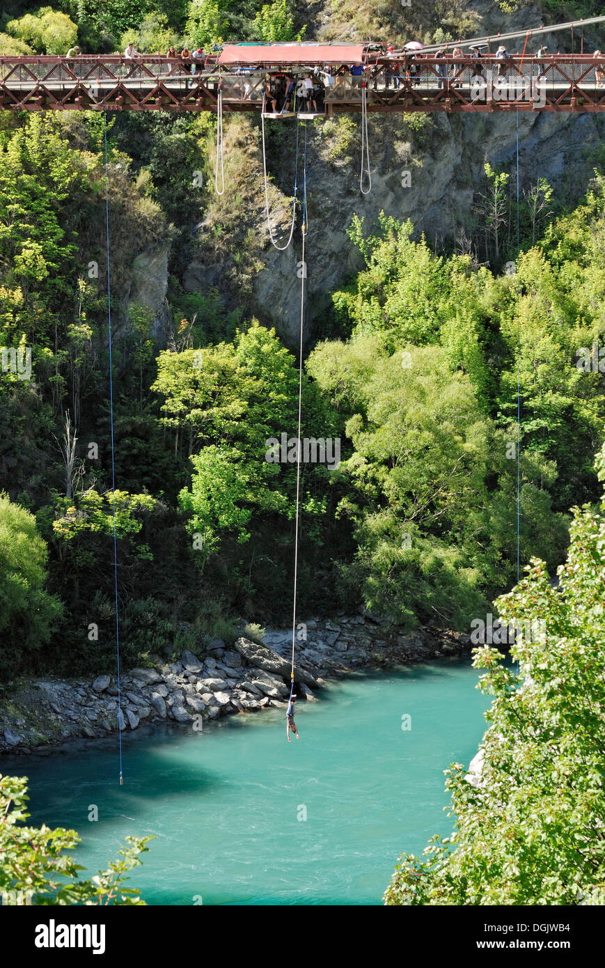 Bungee-jumping dallo storico ponte di sospensione oltre il Fiume Kawarau, Arrowtown, Isola del Sud, Nuova Zelanda Foto Stock