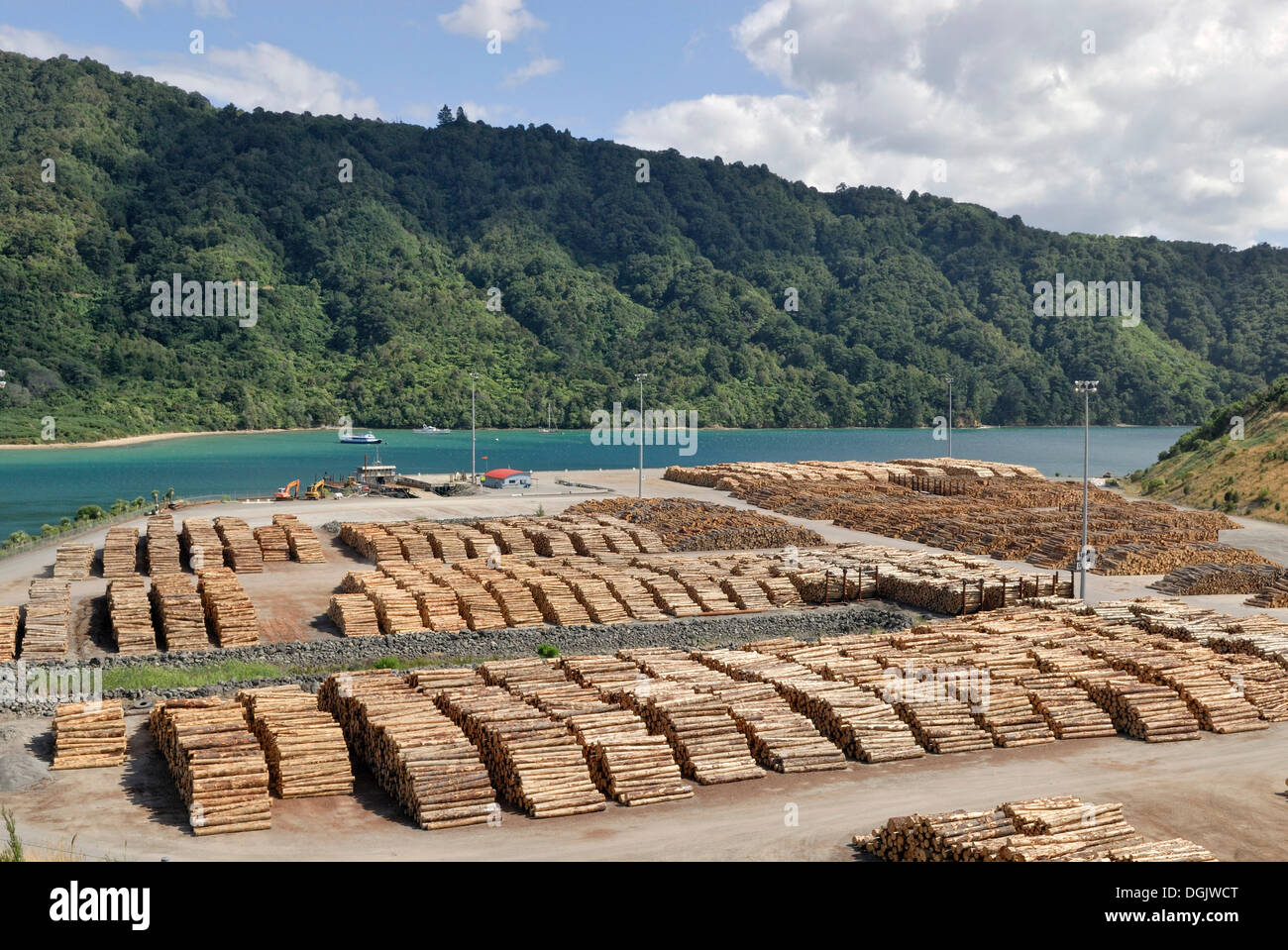 Legname, Shakespeare Bay, Waimahara Wharf, Picton, Isola del Sud, Nuova Zelanda Foto Stock