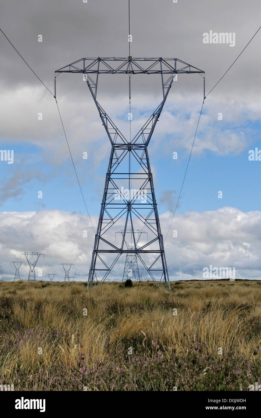 Linee elettriche ad alta tensione lungo la statale 1 a Waiouru, Isola del nord, Nuova Zelanda Foto Stock