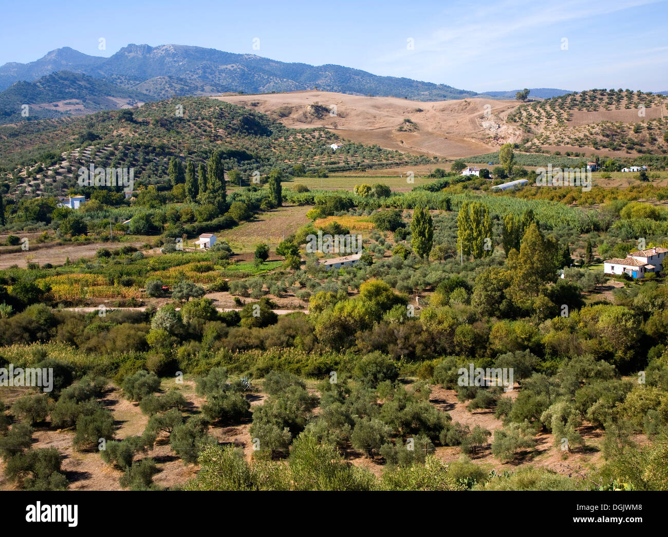 Valle fertile terra agricola vicino a Zahara de la Sierra, la provincia di Cadiz Cadice, Spagna Foto Stock