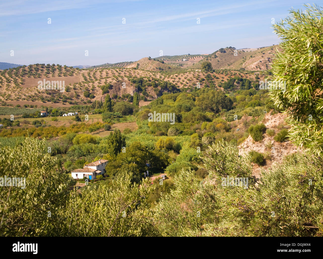 Valle fertile terra agricola vicino a Zahara de la Sierra, la provincia di Cadiz Cadice, Spagna Foto Stock