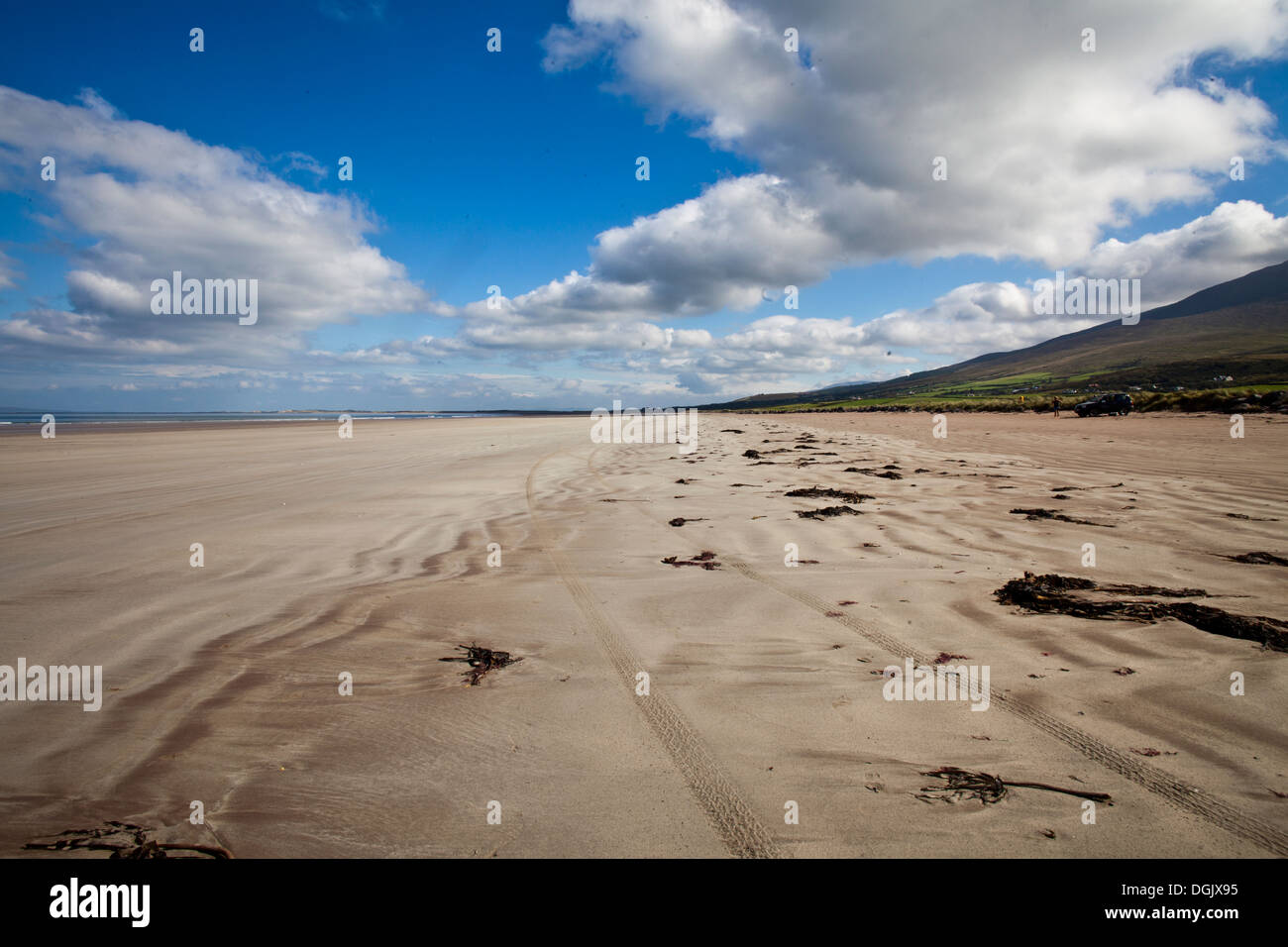 Un lungo tratto di g9lden sabbia sulla spaceOne di Dingle più belle spiagge di sabbia Foto Stock