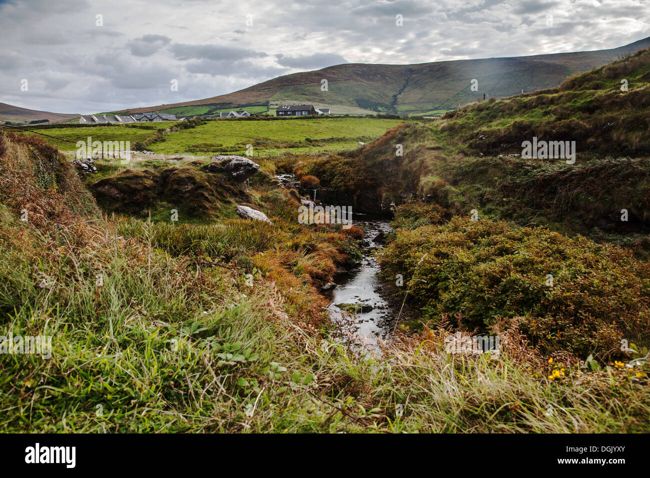 Flusso e colline del paesaggio della penisola di Dingle nr. A Dunquin Co. Kerry Irlanda Foto Stock