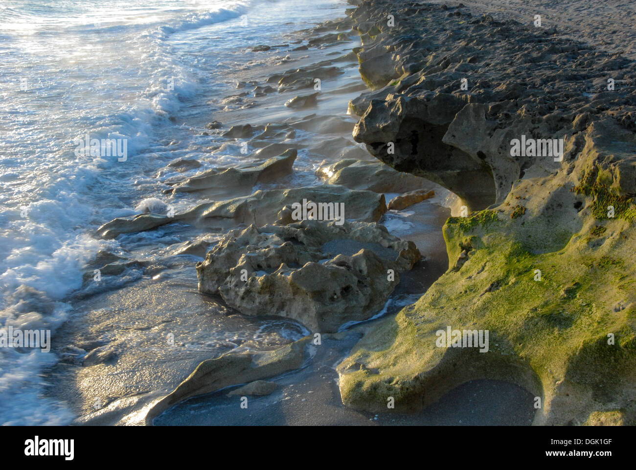 Blowing Rocks Preserve su Jupiter Island nella contea di Martin, sulla costa atlantica della Florida meridionale. (USA) Foto Stock