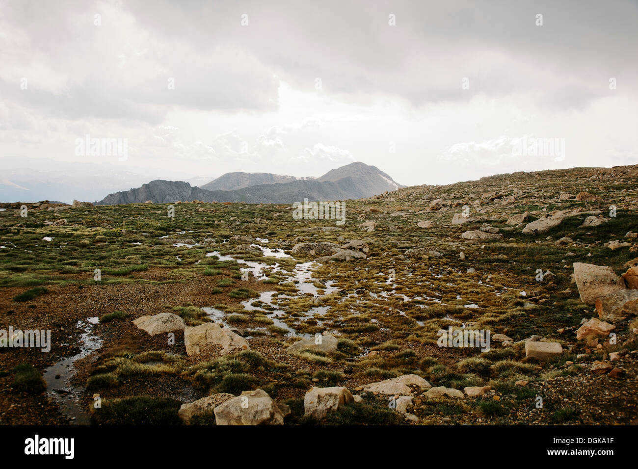 Mount Evans, Front Range, Colorado Foto Stock Mount Evans, Front Range, Colorado Foto Stock