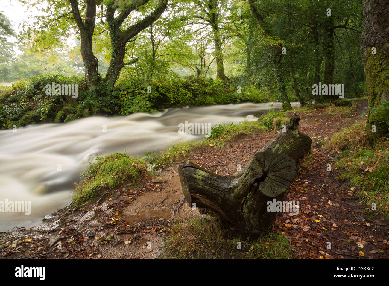 L'Oriente Okement fiume vicino a Okehampton Parco Nazionale di Dartmoor Devon UK Foto Stock