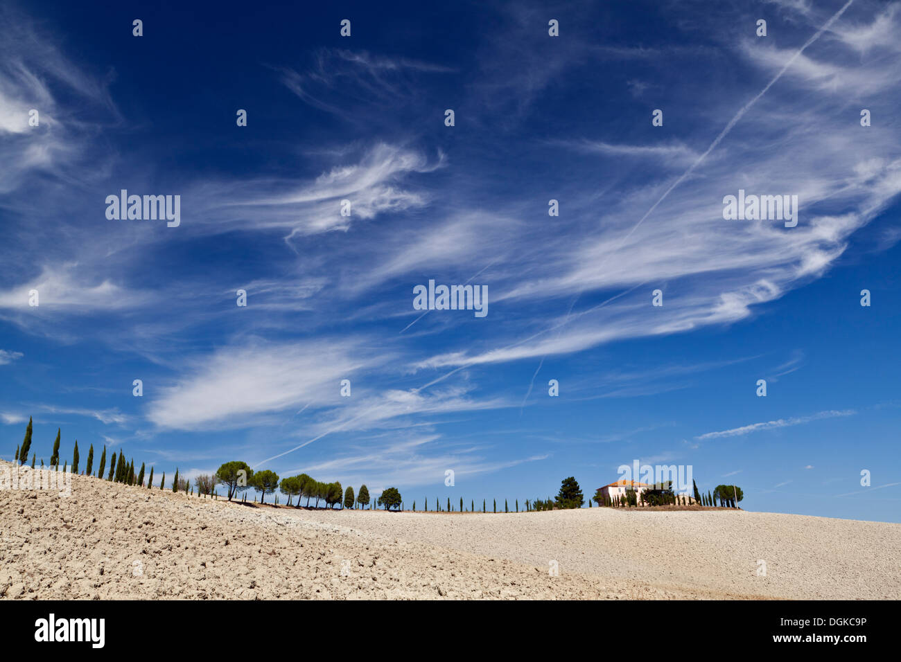 Un viale di cipressi che conduce a una Villa Toscana sotto un grande cielo. Foto Stock