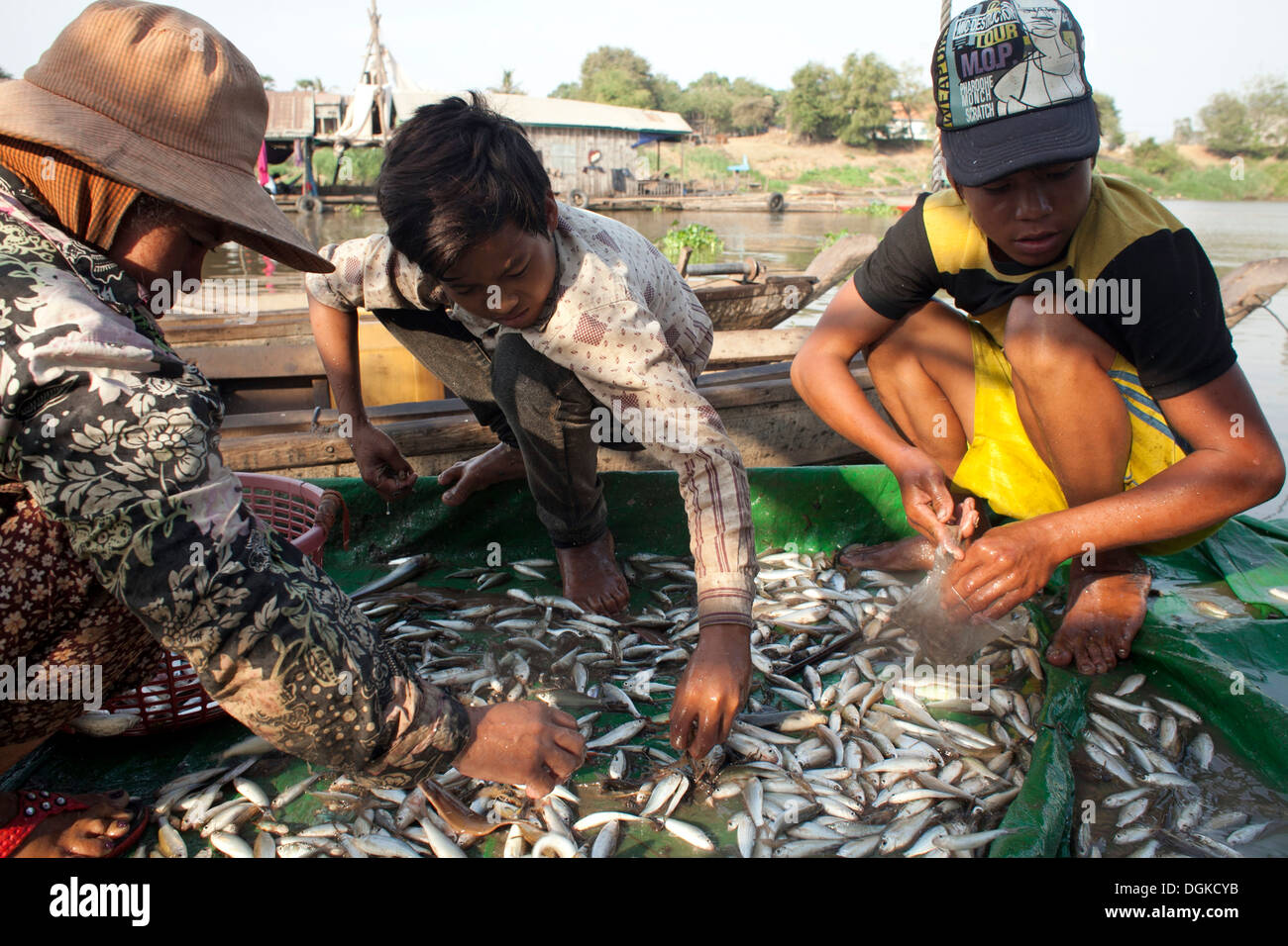 Cambogia Southeast Asia Asia SE phnom penh viaggi di pesca dei pescatori cambogia etnia dai pesca fiume Mekong duro lavoro mekong Foto Stock