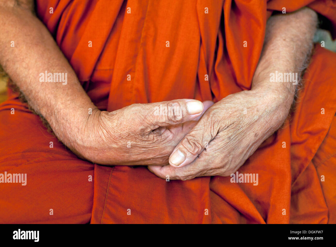 Phnom Penh Cambogia Southeast Asia Asia se viaggi immagine a colori monaco buddista il buddismo religione ritratto arancione vecchiaia anziani el Foto Stock