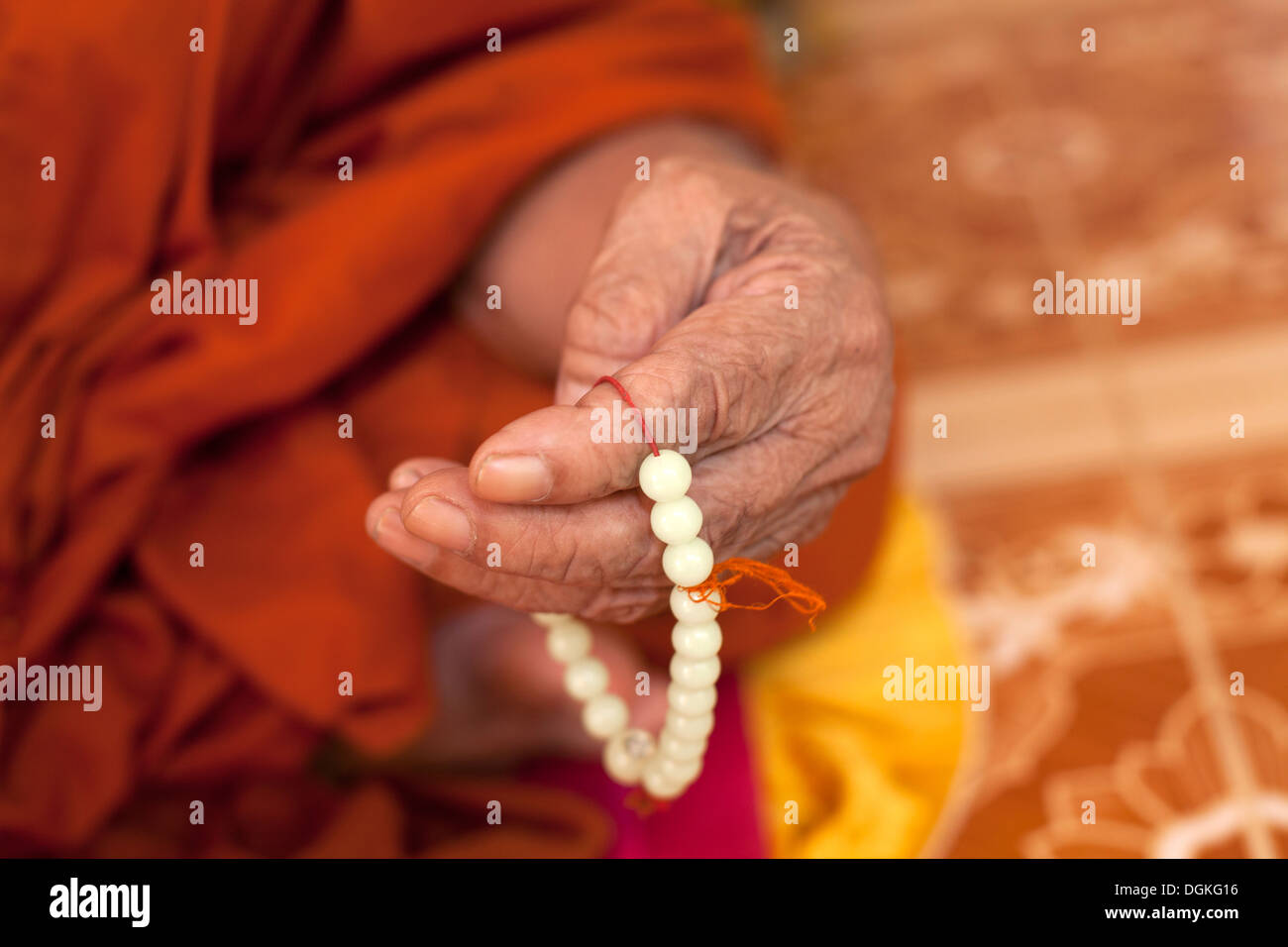 Phnom Penh Cambogia Southeast Asia Asia se viaggi immagine a colori monaco buddista il buddismo religione ritratto arancione vecchiaia anziani el Foto Stock