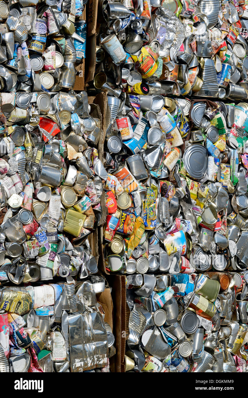 In balle di lattine in acciaio al riciclaggio impianto di raccolta in Enterprise, Oregon. Foto Stock