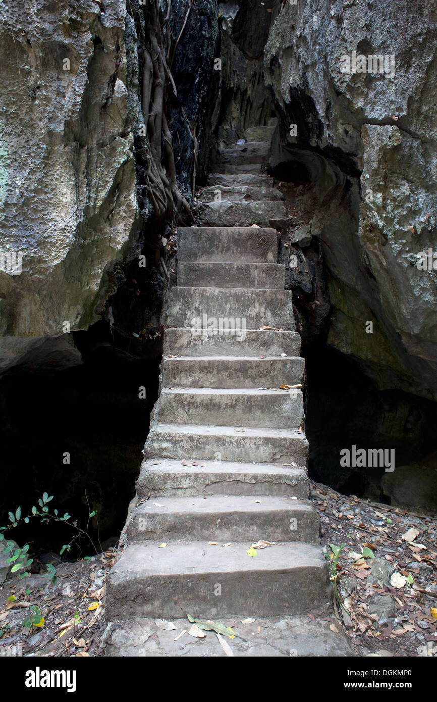 Scala in una rete di grotte con statue buddiste al di fuori del villaggio turistico di Kep, Cambogia. Foto © Dennis Drenner 2013. Foto Stock