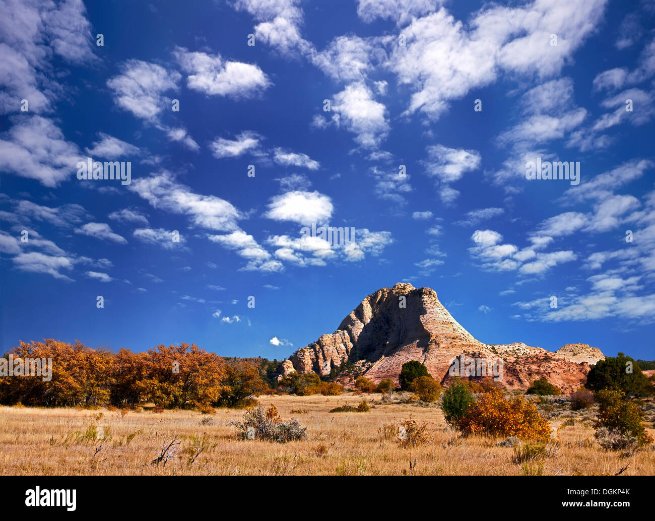 Una vista del deserto nel sud dello Utah durante l'autunno. Foto Stock