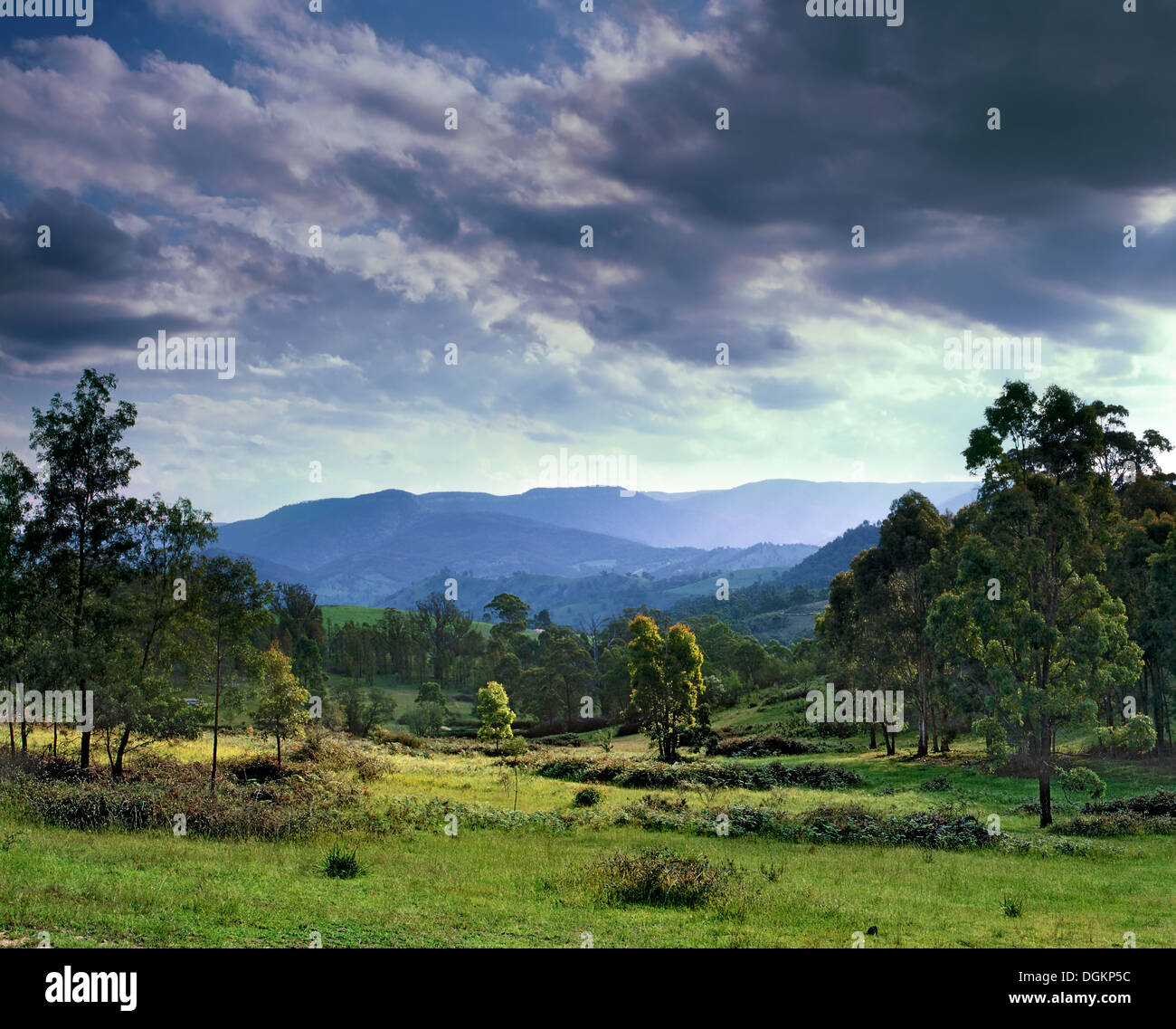 Una vista attraverso la Megalong Valley guardando verso le montagne blu nel Nuovo Galles del Sud. Foto Stock