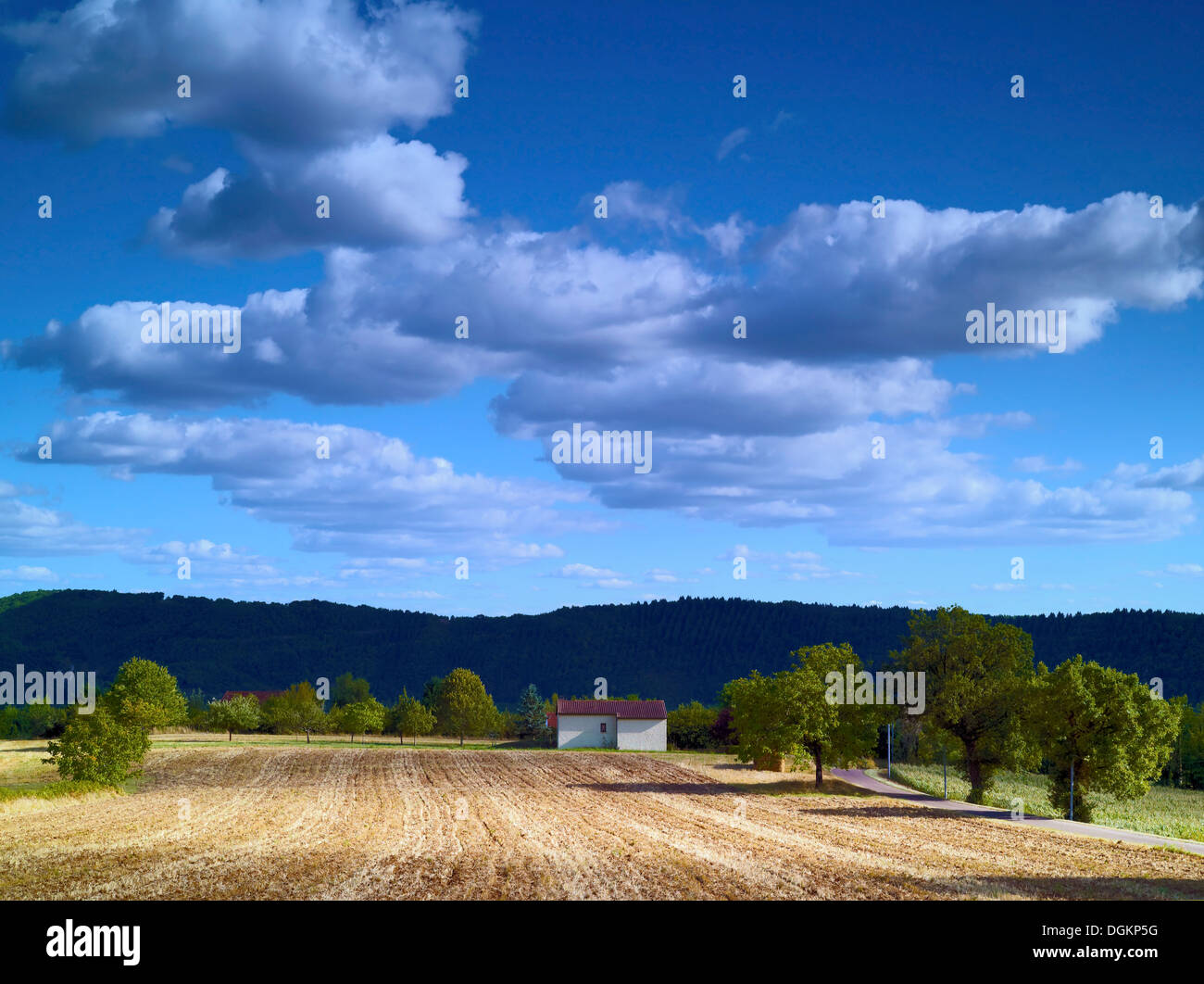 Una vista di terreni agricoli nei pressi del villaggio di Cazoules in Dordogna. Foto Stock