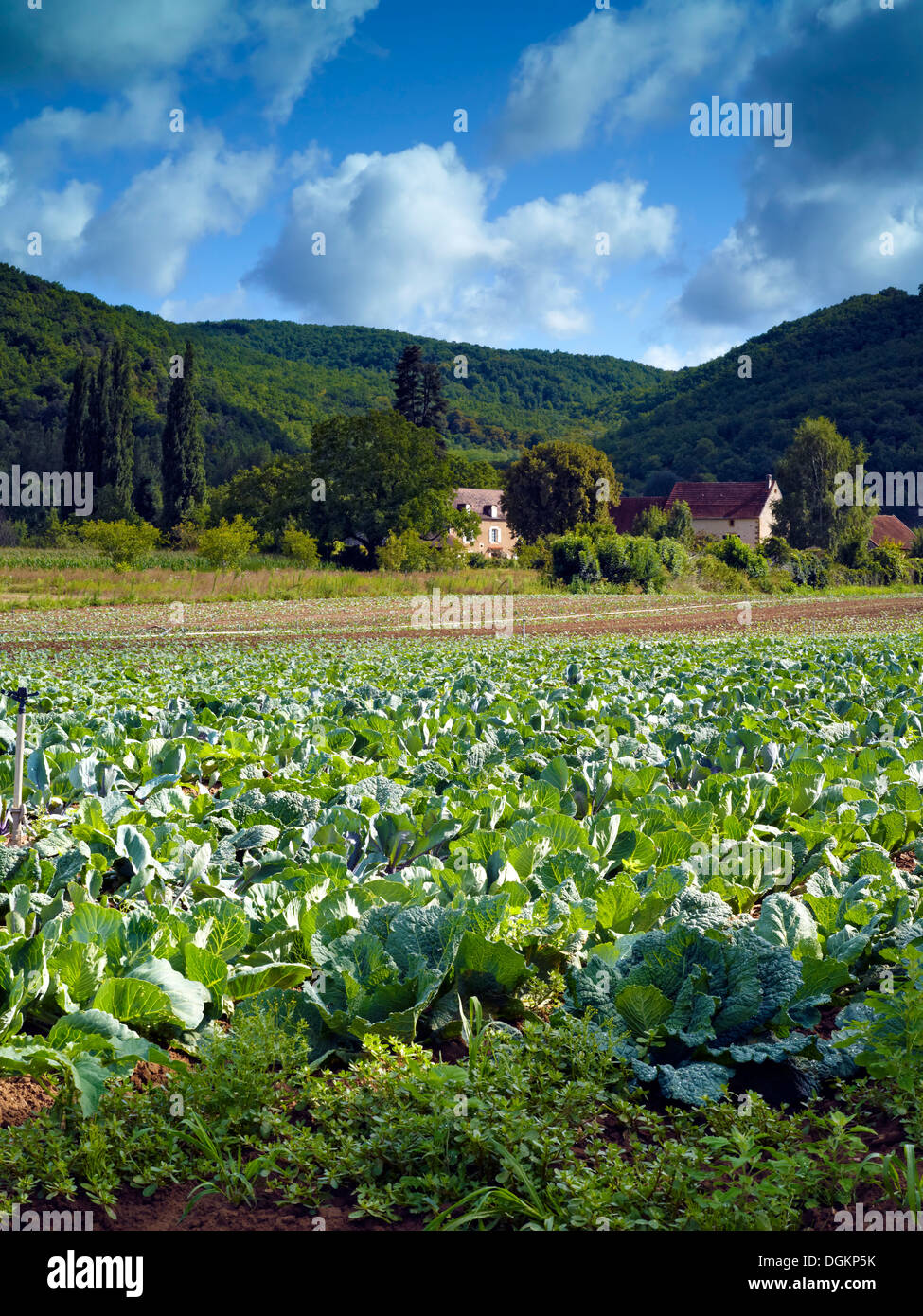 Una vista di fertili terreni agricoli in Dordogna. Foto Stock
