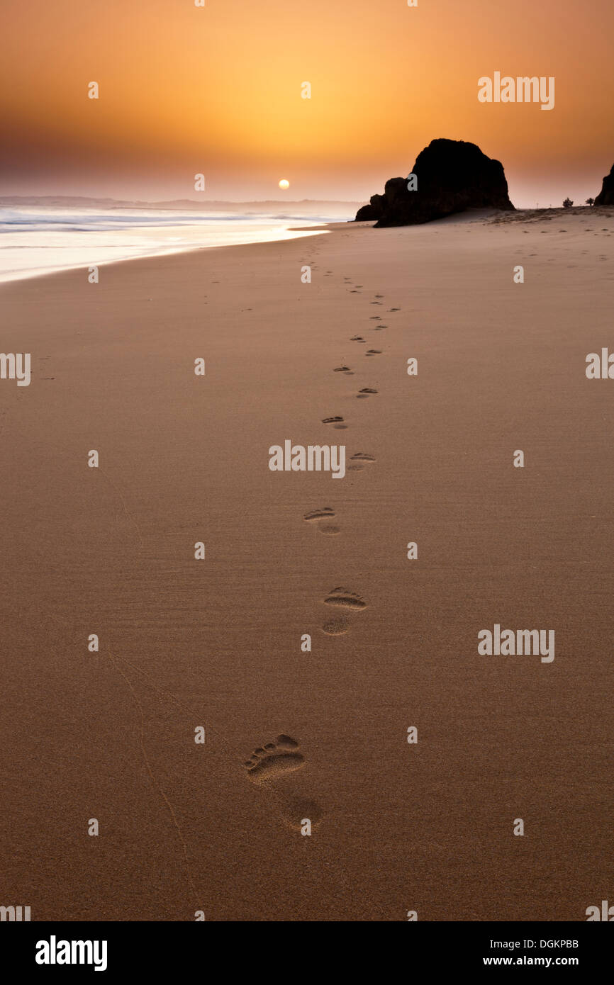Orme lasciate dietro a sabbia al tramonto. Foto Stock