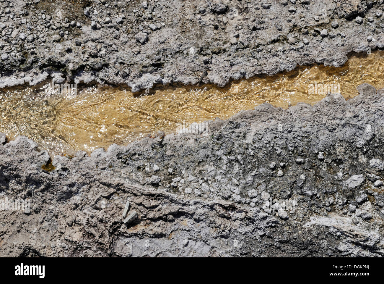 Uscita di una primavera calda, Orakei Korako Grotta e Parco Termale, Hidden Valley, Taupo, Rotorua, Isola del nord, Nuova Zelanda Foto Stock
