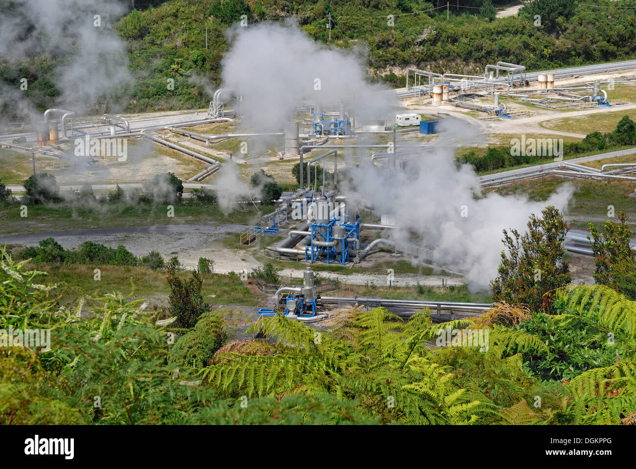 Centrale geotermica, Wairakei Borefield, Isola del nord, Nuova Zelanda Foto Stock
