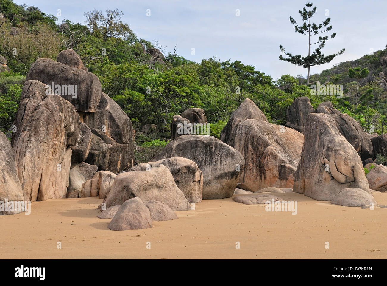 Formazione di roccia, granito rosso, Balding Bay, costa nord, Magnetic Island, Queensland, Australia Foto Stock