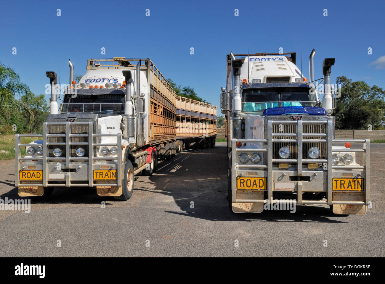 Strada di treni per il trasporto di bestiame, Moura, grande Dawson autostrada, Queensland, Australia Foto Stock