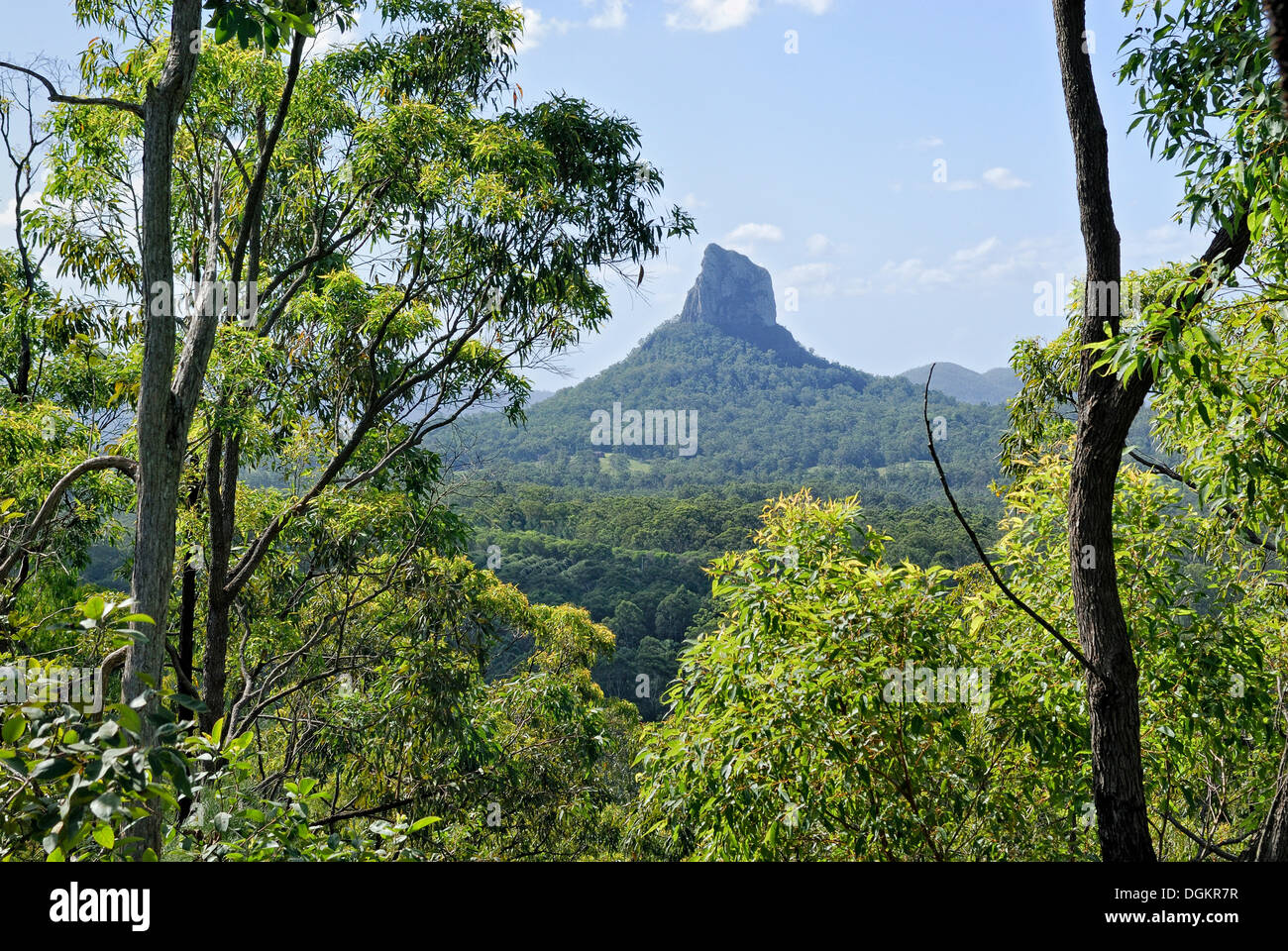 Montare Coonowrin, Glasshouse Mountains, Brisbane, Queensland, Australia Foto Stock